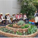 미룡주공1단지경로당 이미지