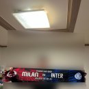 밀란 | 이탈리아 여행) 밀란 더비 (산시로 경기장) 직관 후기