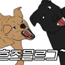 김여사네밥집 네이버블로그