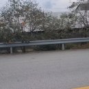 우사축사 이미지