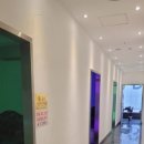 코끼리노래연습장 이미지