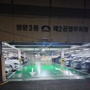 쌍문3동 주민센터 | [쌍문역 마사지] 라니뷰티 시그니처 등관리(뱀부테라피) 마사지 받은 후기