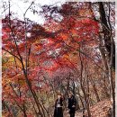 원쇼핑아울렛