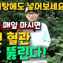 [단삼] 물처럼 매일 마시면 막힌 혈관 뻥~뚫린다! 이미지