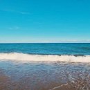 바다사람들 이미지