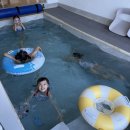 키즈풀빌라 | 울진 여기서 키즈 풀빌라 후기｜실내놀이터+수영장 완벽한 가족 숙소 추천