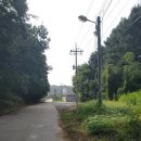 주식회사 흑산문화관광호텔 | [ 보은 일주일 살기 #2] 보은의 아침, 자바라 무인텔 주변에서 만난 소박하고 특별한 동네 풍경 🌿