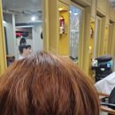 60대 여자 이런 모발에서 파마를 할 수 있어야 이미지