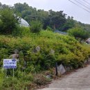 산나물농장펜션 이미지