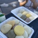 치악산황둔청소년수련원 | 내돈내산]원주 치악산 피노키오카라반&amp;수련원 가을 캠핑