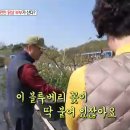 이진농원 이미지