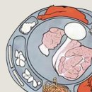 정릉시장 이미지