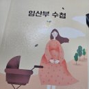 대추밭약국 | [난임일지] 계류유산 종결(빈 아기집, 난황 안보임, 소파술, 소파술 비용)