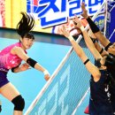 흥국생명 이미지