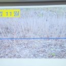 순천농협상사지점