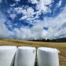 매봉목장 이미지