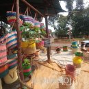 폴레폴레 이미지