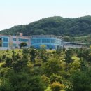 소피아케이 네이버블로그