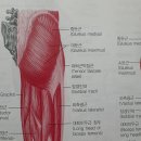 핏디렉터 프라이빗 PT스튜디오 이미지