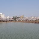 운천저수지 이미지