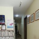 푸른솔한의원 이미지