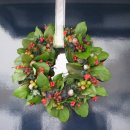 심리상담 세움 이미지