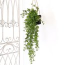 조아트 플라워 이미지