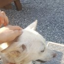 솔언덕펜션 이미지