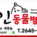 혜인동물병원 이미지