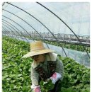 김동주농장 이미지