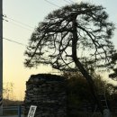 동민목장 이미지