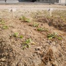 선린어린이집 이미지