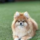 브루하하유치원 이미지