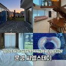 문경27 | 씨엘스테이 | 경북 문경새재 애견동반 신축 풀빌라 독채펜션 추천 및 수영장 바베큐 촌캉스 후기