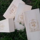 감사나무 이미지