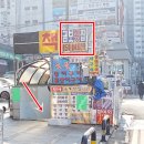 금보 티스토리