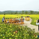 구리한강시민공원 이미지