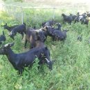 준혁농장 이미지