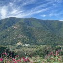 백상기농장 이미지