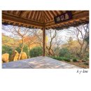 백운동 정원 이미지