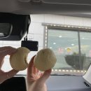 벌떡새우 이미지