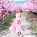 수비 면사무소 이미지