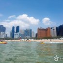 산소길(파도소리풍경길) 이미지