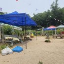 목련@사랑 이미지