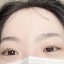 샌브로우 네이버블로그