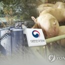 김동호 농장 이미지