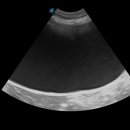 24시 창원2차동물의료원 이미지