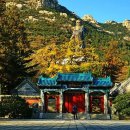 구로-신도-구로-98 | 푸링슈슈의 중국여행 - 19년 5월 청도(칭다오, 青岛) 下