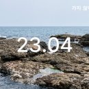 시화사