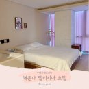 부산 해운대 숙소 추천 가성비 좋은 엘리시아 호텔 후기